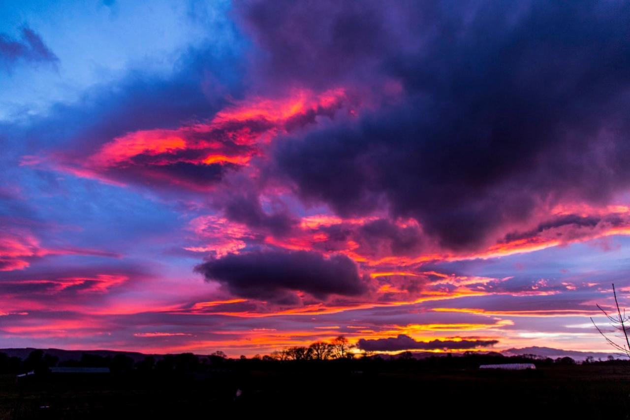 Clashmore Wood Dornoch Exterior foto